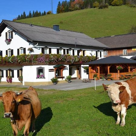 Bio Bauernhof Moas Villa Lunz am See Dış mekan fotoğraf