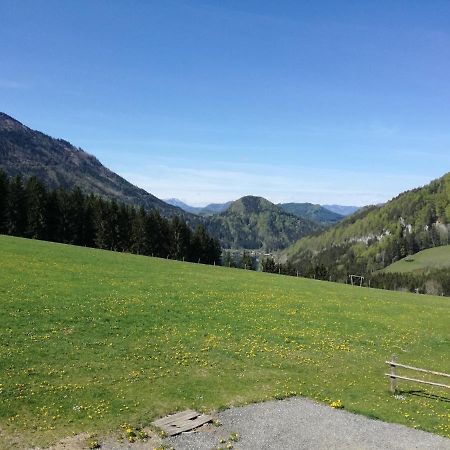 Bio Bauernhof Moas Villa Lunz am See Dış mekan fotoğraf