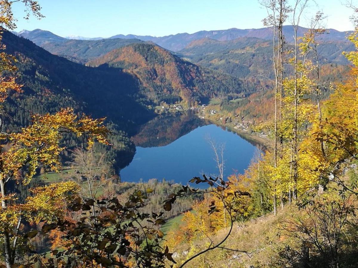 Bio Bauernhof Moas Villa Lunz am See Dış mekan fotoğraf